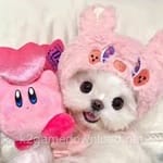 Avatar of Hania Malik